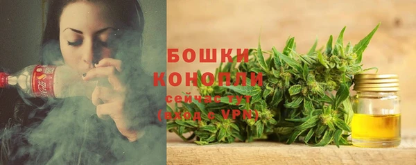 мдпв Калининец