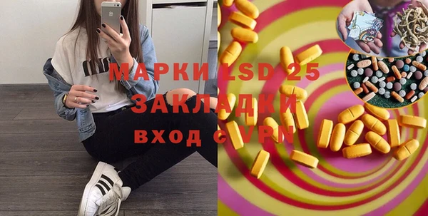 ПСИЛОЦИБИНОВЫЕ ГРИБЫ Белокуриха