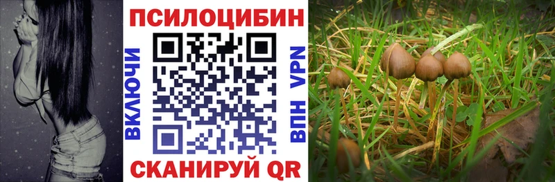где продают наркотики  ОМГ ОМГ ONION  Галлюциногенные грибы Magic Shrooms  Губкинский 