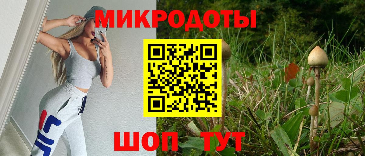 Галлюциногенные грибы Psilocybe Губкинский