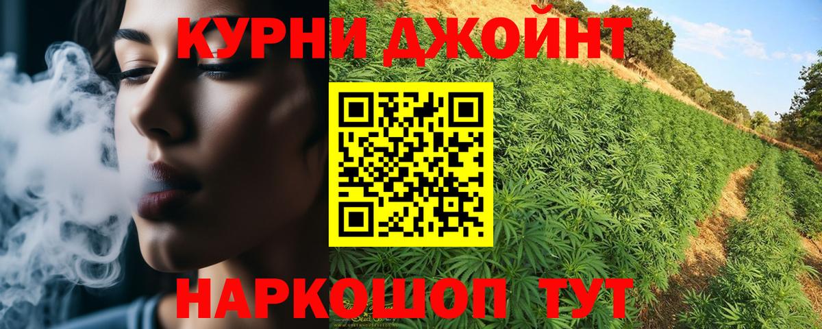 Губкинский  Бошки марихуана OG Kush  Шишки марихуана планчик  Канабис планчик  Вход с VPN 